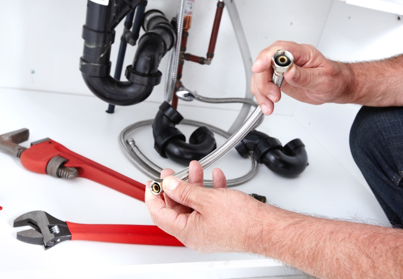 Toilet repair being carried out in Abbots Langley